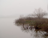 Birding - 2012