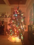 our tree