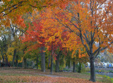 10-27-12_060.jpg