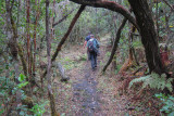 Rob and Jonathan walking up Mt. Karthala