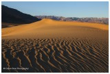  Mesquite Dunes