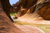 Red Rock Canyon   [Southern Utah]