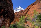 Red Rock Canyon- High Noon Shadows