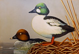 Wheeler National Wildlife Refuge - 03/26/2013 Youth Duck Stamp Judging