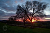 Sunset in the Culm Valley