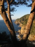 Tossa de Mar