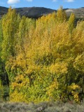 Colores de Otoo en La Rioja