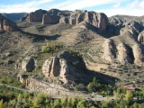 Viguera