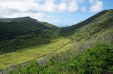 Looking at Turtle Island