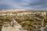 Vineyards and orchards among Fairy Chimneys in Love Valley Goreme National Park Turkey