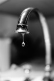 February 2, 2013Open the Flood Gates