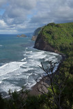 Pololu 