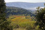 paysage provenal