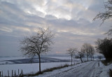 la plaine dAlsace en hiver