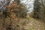 no signs of spring