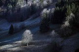 Gallery: Valais & canton de Vaud (Switzerland)