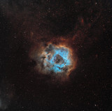 rose nebula