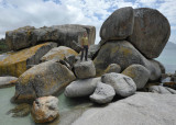 Boulders beach.