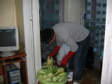 Making Kimchi at Yuns Dec10th 2005 017.jpg