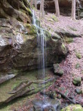 Borden Creek trail, Bankhead NF