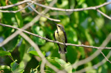 Qurum National Park Muscat Oman 12-6-12 1193.JPG