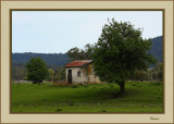 Old Hut - Wesburn 