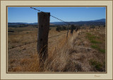 Yarra Valley countryside