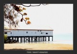Boatshed, Port Douglas