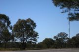 Road verge  en route Wilcannia and tower