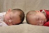 aDSC_0481.jpg