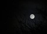 310:366<br>Moon   