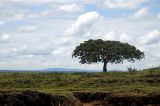 on the road to Addis