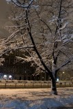 Warsaw