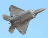 Raptor_01.jpg