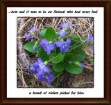 A bunch of violets