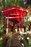 Kitsune Shrine on the Woods