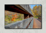 2012 - Autumn Colours - Moccasin Park - Toronto, Ontario - Canada