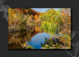 2012 - Autumn Colours - Moccasin Park - Toronto, Ontario - Canada 