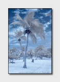 2012 - Playa Esmeralda, Holguin - Cuba - Infrared