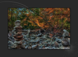 2010 - Autumn Colours - Wilket Creek Park - Toronto, Ontario - Canada