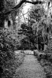 _MG_4287.jpg