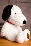 3rd February 2013 - Snoopy