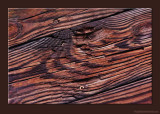 D701_8043_0113-Texture.jpg