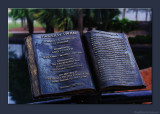 D701_8124_0113-Eola-Dedication.jpg