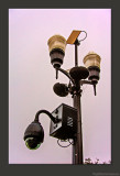 D701_8150_46_0113-LookListenTell.jpg