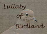 <b>Lullaby of Birdland Video</b> 