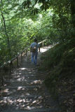 Paths around the blue pool.1_MG_1256.jpg