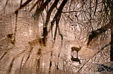 walking on water