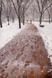 Heavy Snow