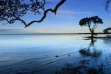 lapping tide